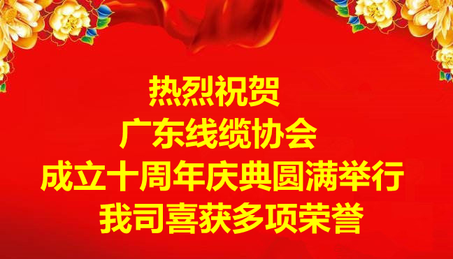 祝贺广东线缆协会成立十周年庆典圆满举行，我司喜获多项荣誉!